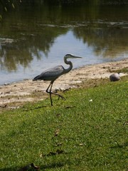 Obraz premium OLYMPUS DIGITAL CAMERA