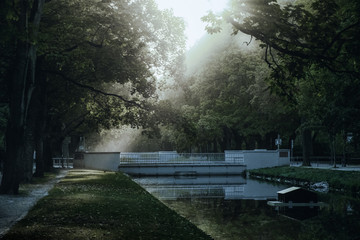 Morning in the park