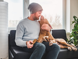 Handsome man and a charming puppy. Close-up, indoors. Studio photo, white color. Concept of care,...
