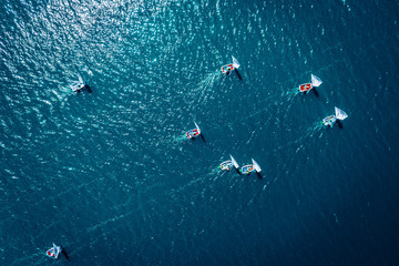 Small sailing boats on the lake during the competition - obrazy, fototapety, plakaty