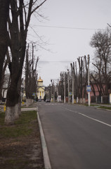 Road to church in cloudy weather vertical photo. Trees on the sides of the road. The church in the distance