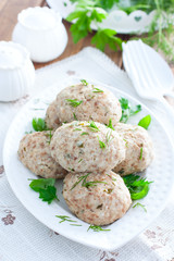 Dietary turkey cutlets steamed with fresh herbs, selective focus