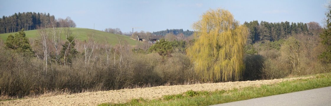 Ufer-Panorama am Hofst&auml;tter See