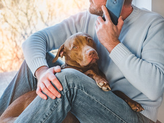 Handsome man and a charming puppy. Close-up, indoors. Studio photo, white color. Concept of care,...