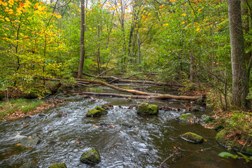 Stormy river flowing through the spring forest.selective focus, long exposure.