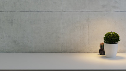 Empty desk with plant, cactus and concrete wall 3D rendering