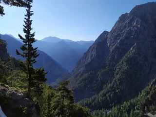 mount rainier national park