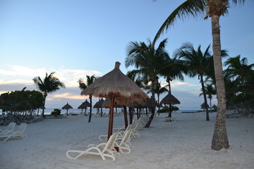 palmeras caribe mixicano