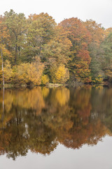 Seashore and reflections from the autumn colored forest in the water, picture from Northern Sweden.
