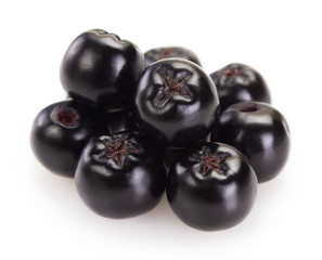 Fresh chokeberry on white background