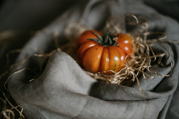 Fresh red ripe tomatoes for use as cooking ingredients on a gray background in straw
