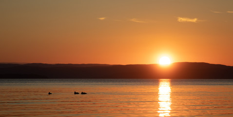 Bright sunset over the Oslofjord with swimming ducks