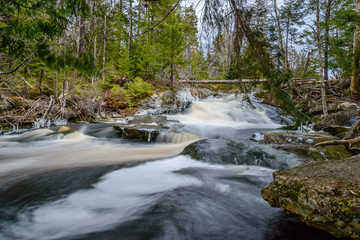 Forest landscape with small river cascade falls over mossy rocks. Atlantic Canada