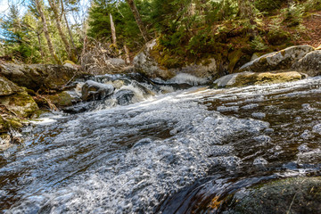 Forest landscape with small river cascade falls over mossy rocks. Atlantic Canada