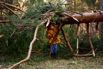 boy makes a tent out of branches in the forest