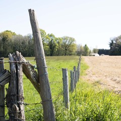 paysage campagne clôture
