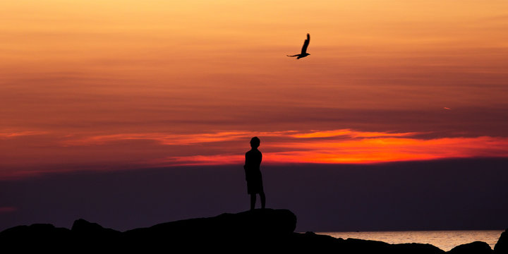 Volo di gabbiano -Siulette al tramonto