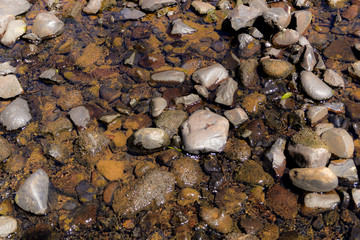 pedra