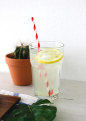 Glass of lemonade, ice and paper straw with cactus and white background