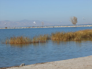 Plaża nad górskim jeziorem 2