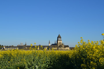 Abbaye de Fontevraud et champ de colza