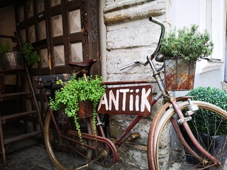 old bicycle with flowers