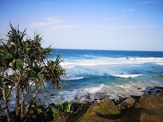 tropical beach with palm trees