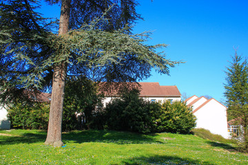 Fototapeta premium House in a residential area. Garden and flower park in spring in front of the facade. Modern building for families.