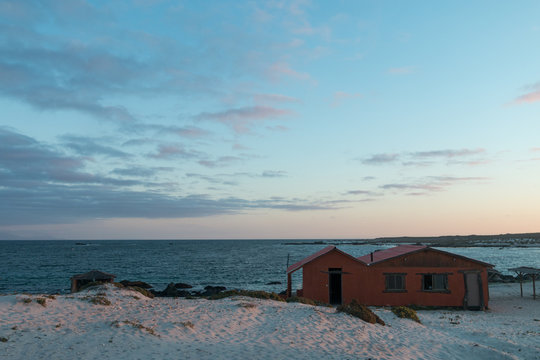 Punta Choros (Chile)