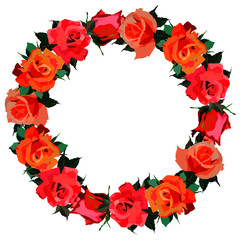 vector illustration, floral frame, roses, isolate on a white background, design for postcards, wedding invitations, greetings