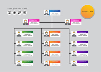 Organization Chart Infographics , vector design