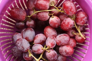 Fresh red grapes on the table macro