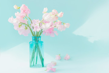 Bouquet of soft pink sweet peas Lathyrus in beautiful transparent vase on blue background.Copy space.Spring concept.Postcard for International Women's Day on March 8, Valentine's Day,14 of February