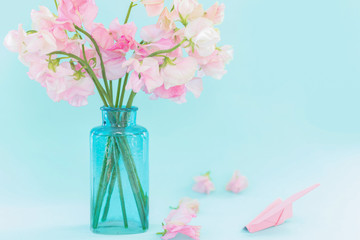 Bouquet of pink sweet pea Lathyrus in beautiful transparent vase on blue background.Paper airplane with message. Spring concept. International Women's Day, March 8 and Valentine's Day,14 of February