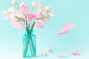 Bouquet of pink sweet pea Lathyrus in beautiful transparent vase on blue background.Paper airplane with message. Spring concept. International Women's Day, March 8 and Valentine's Day,14 of February