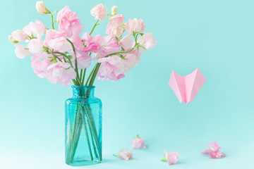 Bouquet of pink sweet pea Lathyrus in beautiful transparent vase on blue background.Paper airplane...