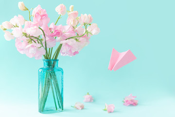 Bouquet of pink sweet pea Lathyrus in beautiful transparent vase on blue background.Paper airplane with message. Spring concept. International Women's Day, March 8 and Valentine's Day,14 of February