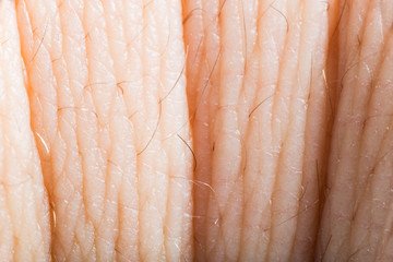 Close up human skin. Macro epidermis