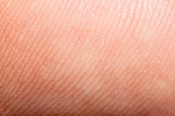 Close up human skin. Macro epidermis