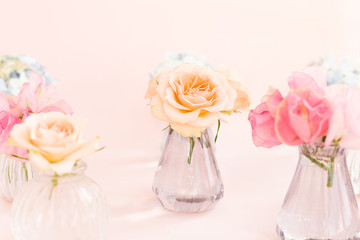 Decoration of blooming blue hydrangea, sweet pea Lathyrus, bush roses in small crystal vases on pink background. Design, Creative. International Women's Day,March 8 and Valentine's Day,14 of February