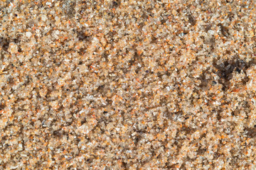 desert sand texture Accona, macro, there is a place for text