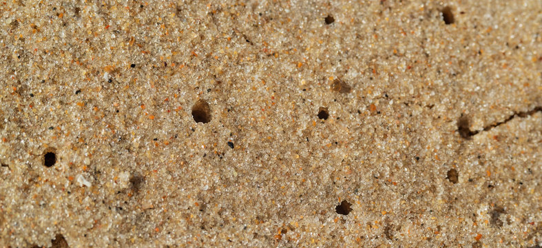 desert sand texture Accona, macro, there is a place for text