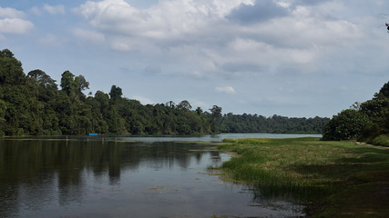 quiet landscape of a lake in Singapore in a Nature reservate