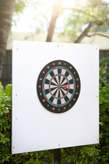 Red dart arrow in the center of dart board on white wooden background and sun light. Concept for business hit target or achieve goal.