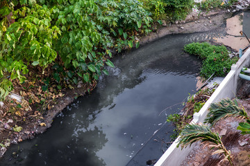 Waste black water from building flowing to canal cause bad environment.