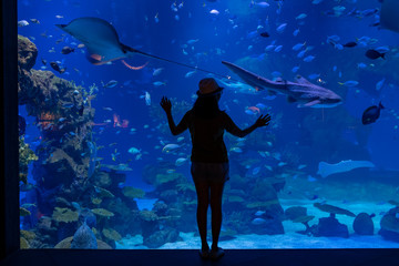 Silhouette of young woman exciting view of underwater world.