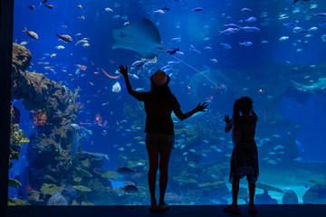 Silhouette of young woman and girl exciting view of underwater world.