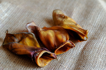 Dehydrated beef ears on burlap.