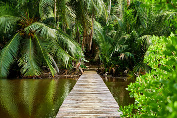 Beautiful lake at Seychelles