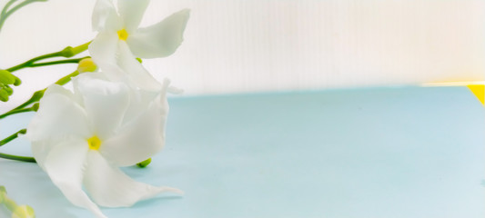 bouquet of snowdrops